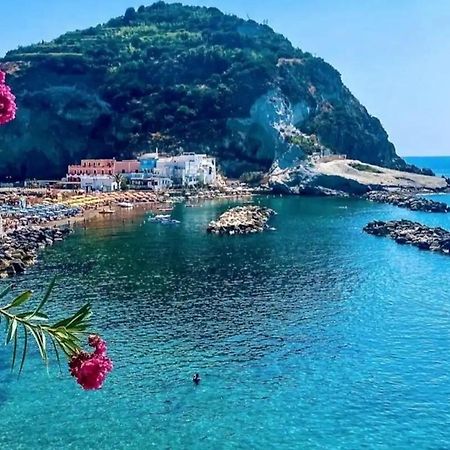 Mare Nostrum - Beachfront House - Sant'Angelo Ischia Kültér fotó