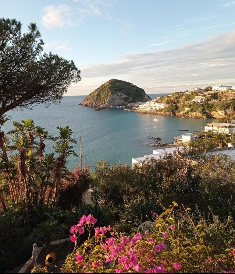Mare Nostrum - Beachfront House - Sant'Angelo Ischia Kültér fotó
