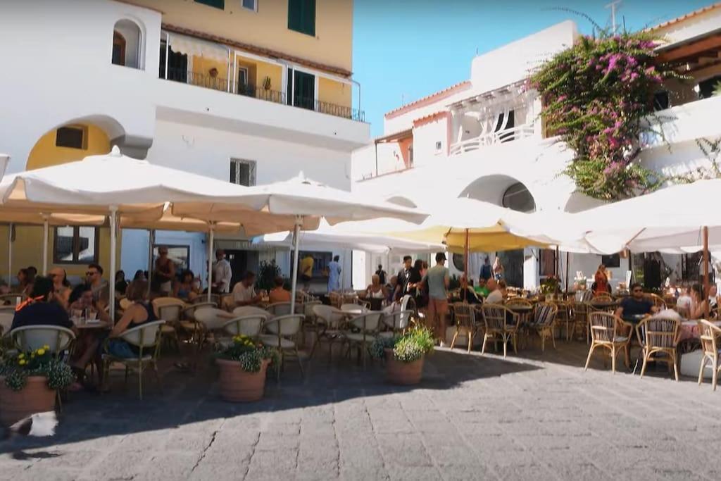 Mare Nostrum - Beachfront House - Sant'Angelo Ischia Kültér fotó