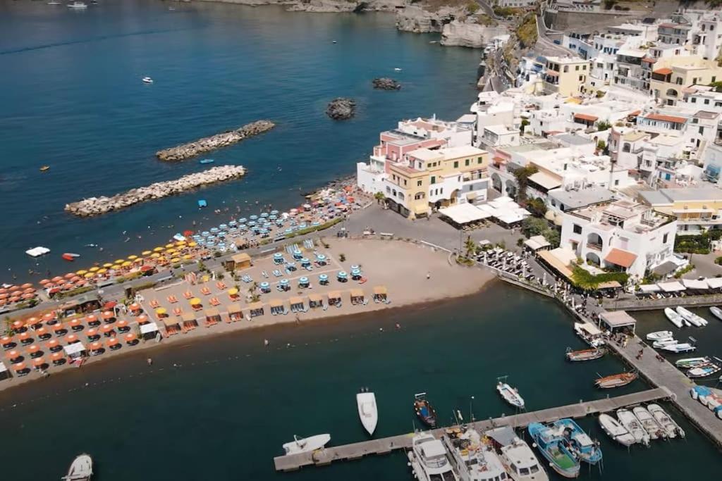 Mare Nostrum - Beachfront House - Sant'Angelo Ischia Kültér fotó