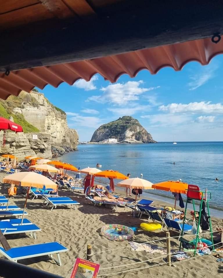 Mare Nostrum - Beachfront House - Sant'Angelo Ischia Kültér fotó